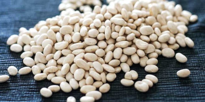 Naturally Cultivated, Mexican Heirloom "Navy" Beans