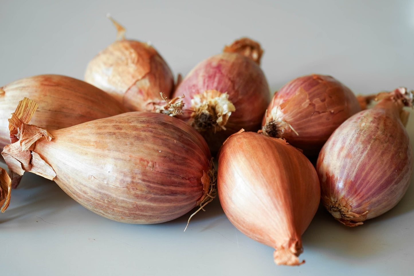 Natural, Non-GMO Produce, Echalions, (shallots)