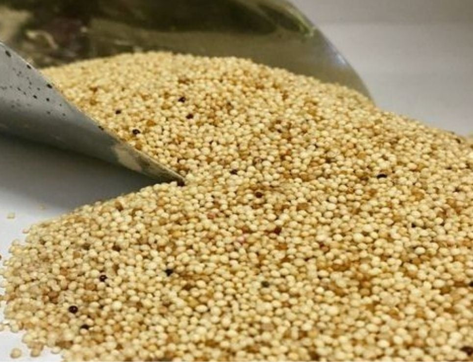 Natural Ancestral Grains. Raw Amaranth, (Gluten Free) (Whole Grain, Not Puffed)