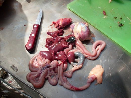 Pastured, Free Range Chicken Intestines