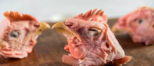 Pastured, Free Range Chicken, Heads