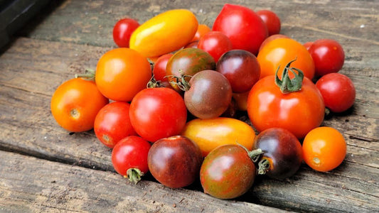 Natural, Non-GMO Produce, Heirloom Mini Tomatoes, (Cherry)