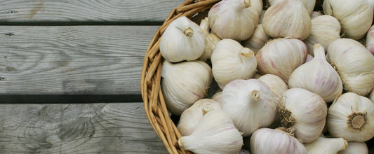 Natural, Non-GMO Produce, Hardneck Garlic Bulbs