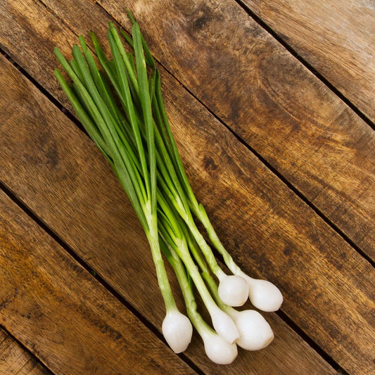 Natural, Non-GMO Produce, Mexican Spring Onion, (Scallion)