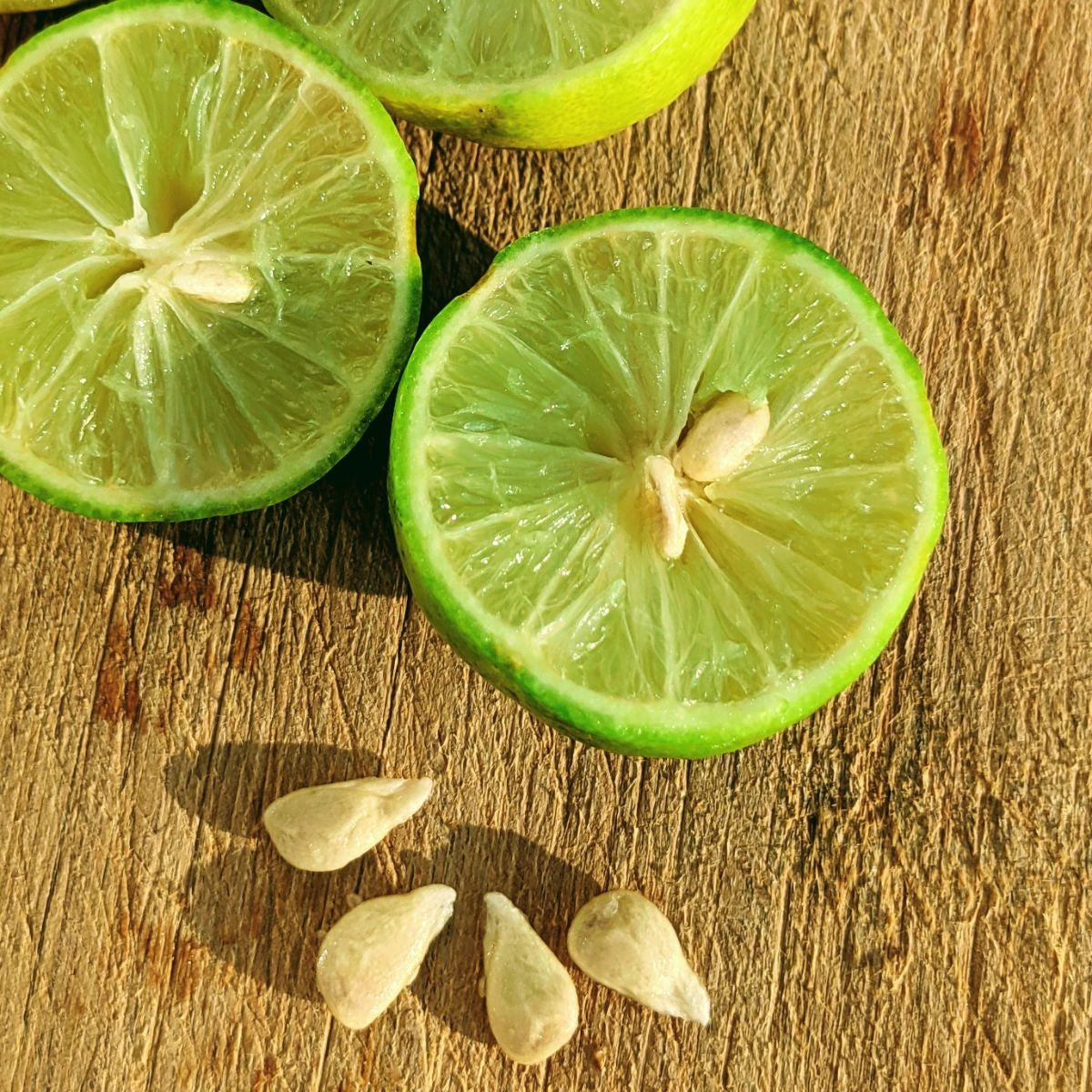 Natural, Non-GMO Produce, Heirloom Mexican Key Lime