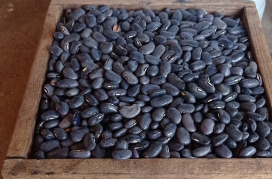 Naturally Cultivated, Heirloom Seed, Black Beans