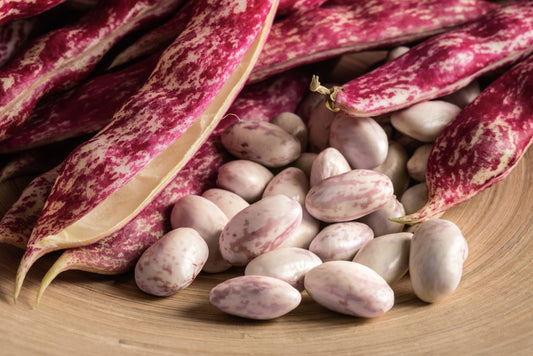 Naturally Cultivated, Heirloom Borlotti Beans, (Cranberry)