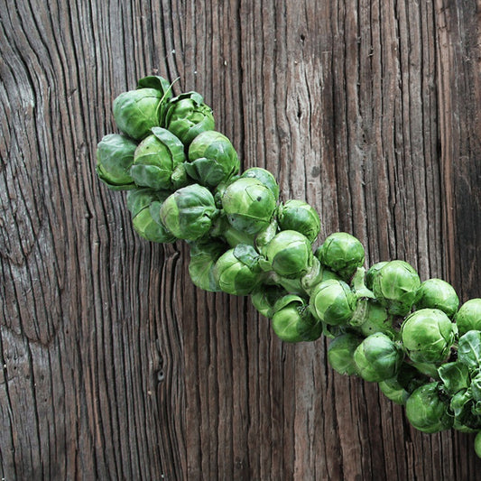 Natural, Non-GMO Produce, Brussel Sprouts
