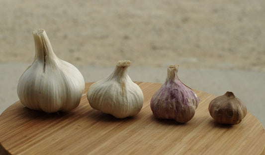Natural, Non-GMO Produce,  Premium Garlic 1 Pound Bundle (Kashmiri, Single Clove, Hardneck, and Colossal)