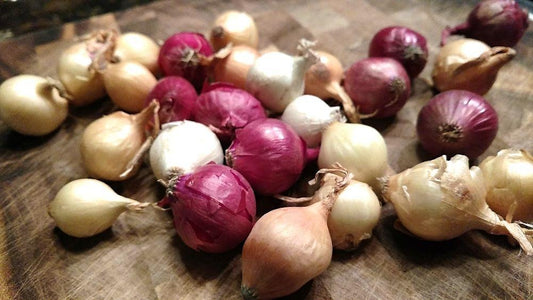 Natural, Non-GMO Produce, Heirloom Mixed Pearl Onions