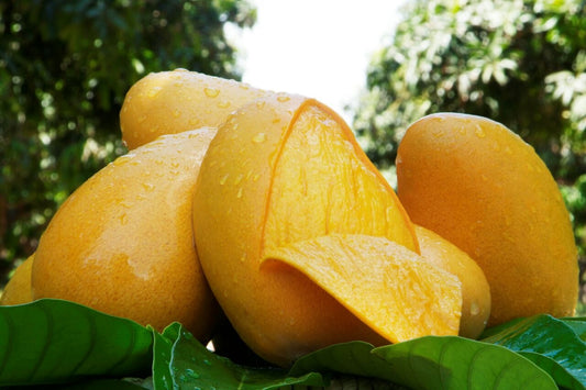 Natural, Non-GMO Produce, Honey Mango