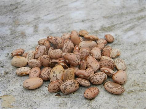 Naturally Cultivated, Heirloom Pinto Beans