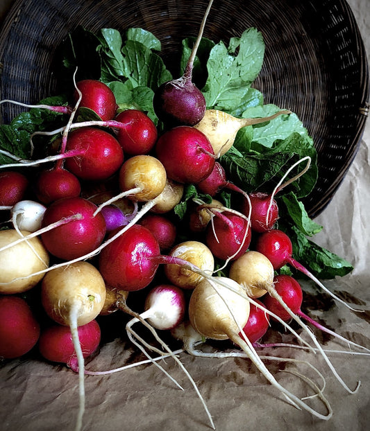 Natural, Non-GMO Produce, Heirloom Radish (with Tops)