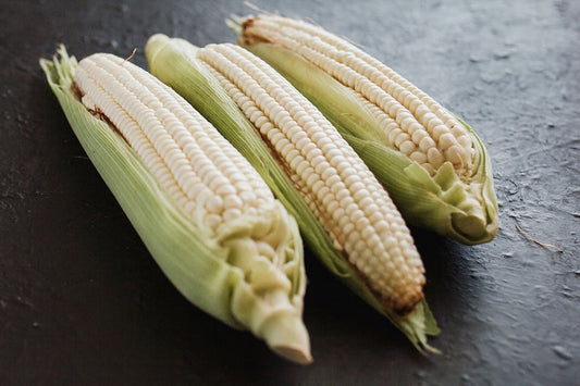Natural, Non-GMO Produce, Heirloom White Corn