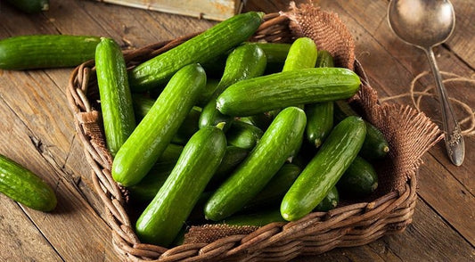 Natural, Non-GMO Produce, Heirloom Persian Cucumber