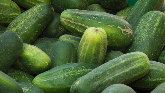 Natural, Non-GMO Produce, Mexican Heirloom Green Cucumber