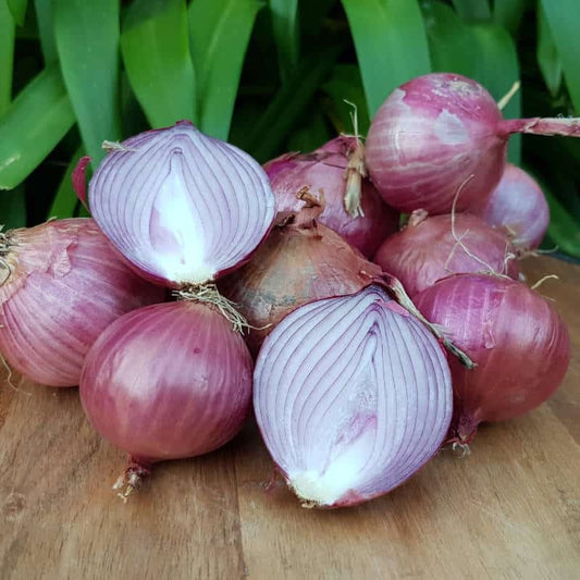 Natural, Non-GMO Produce, Red Onion