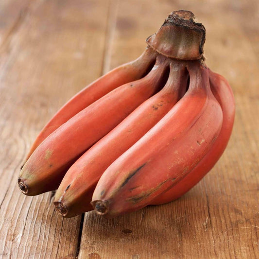 Natural, Non-GMO Produce, Red Banana