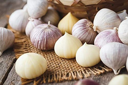 Natural, Non-GMO Produce, Heirloom Solo Garlic, (Single Clove Garlic)