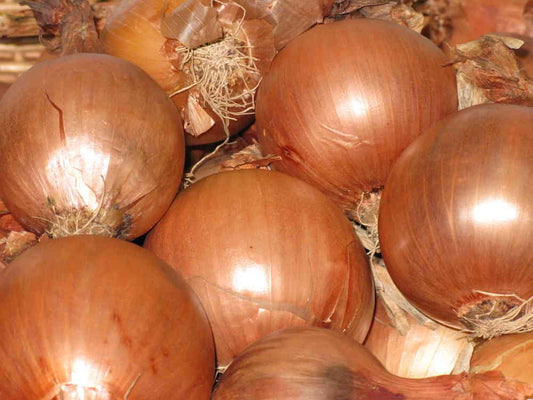 Natural, Non-GMO Produce, Valencia Onion