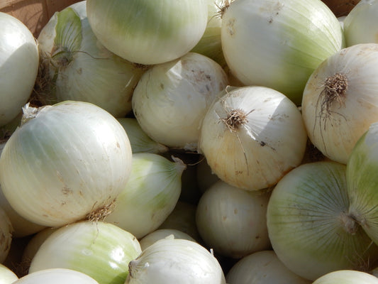 Natural, Non-GMO Produce, White Onion