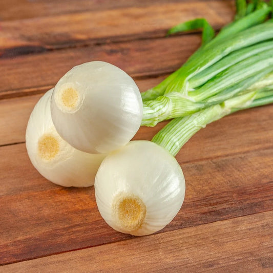Natural, Non-GMO Produce, Mini Green Onions