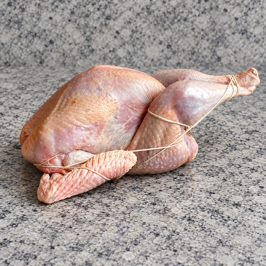 Heritage Guajolote (Turkey) | Narragansett & Bourbon Red  🦃 | Whole Bird