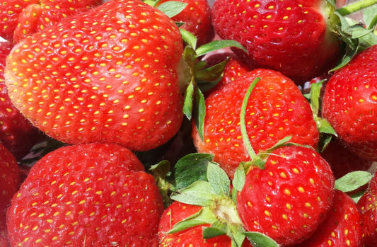 Natural, Non-GMO Produce, Strawberries