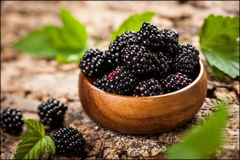 Natural, Non-GMO Produce, Blackberries