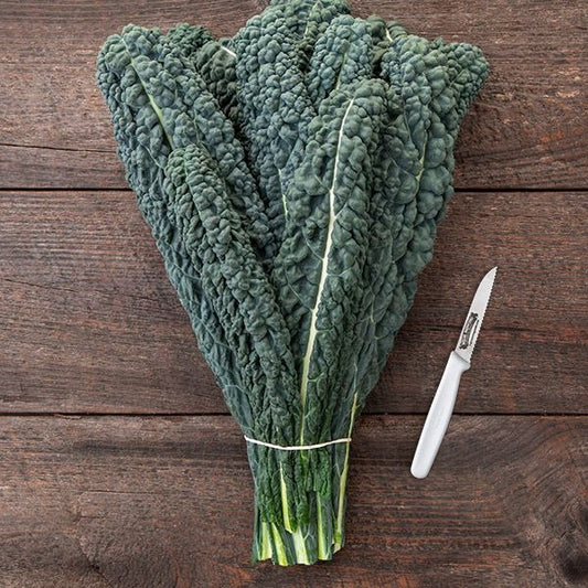 Natural, Non-GMO Produce, Heirloom Kale (Cavolo Nero)
