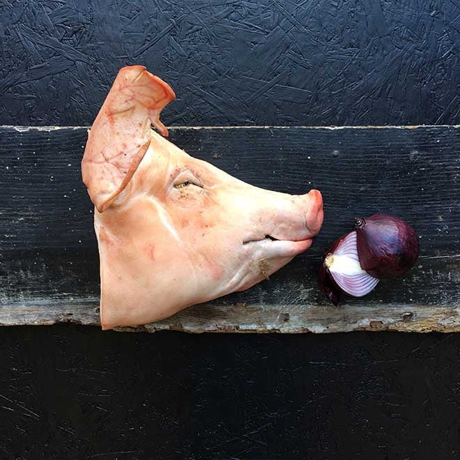 Pasture Raised Pork, Pig Head