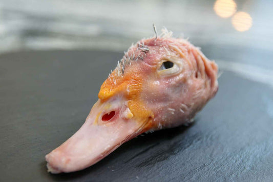 Pasture-raised heritage duck head for raw pet food, additive-free, vacuum-sealed, available for delivery in Merida, Cancun, Playa del Carmen, Tulum, Progreso, Chelem, Queretaro, Guadalajara, Puebla, CDMX, Tijuana, La Paz, Los Cabos, San Miguel de Allende, Mexico