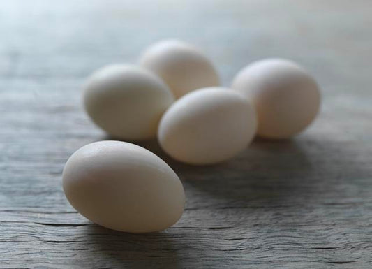 Natural, Free Range Duck Eggs / per Dozen